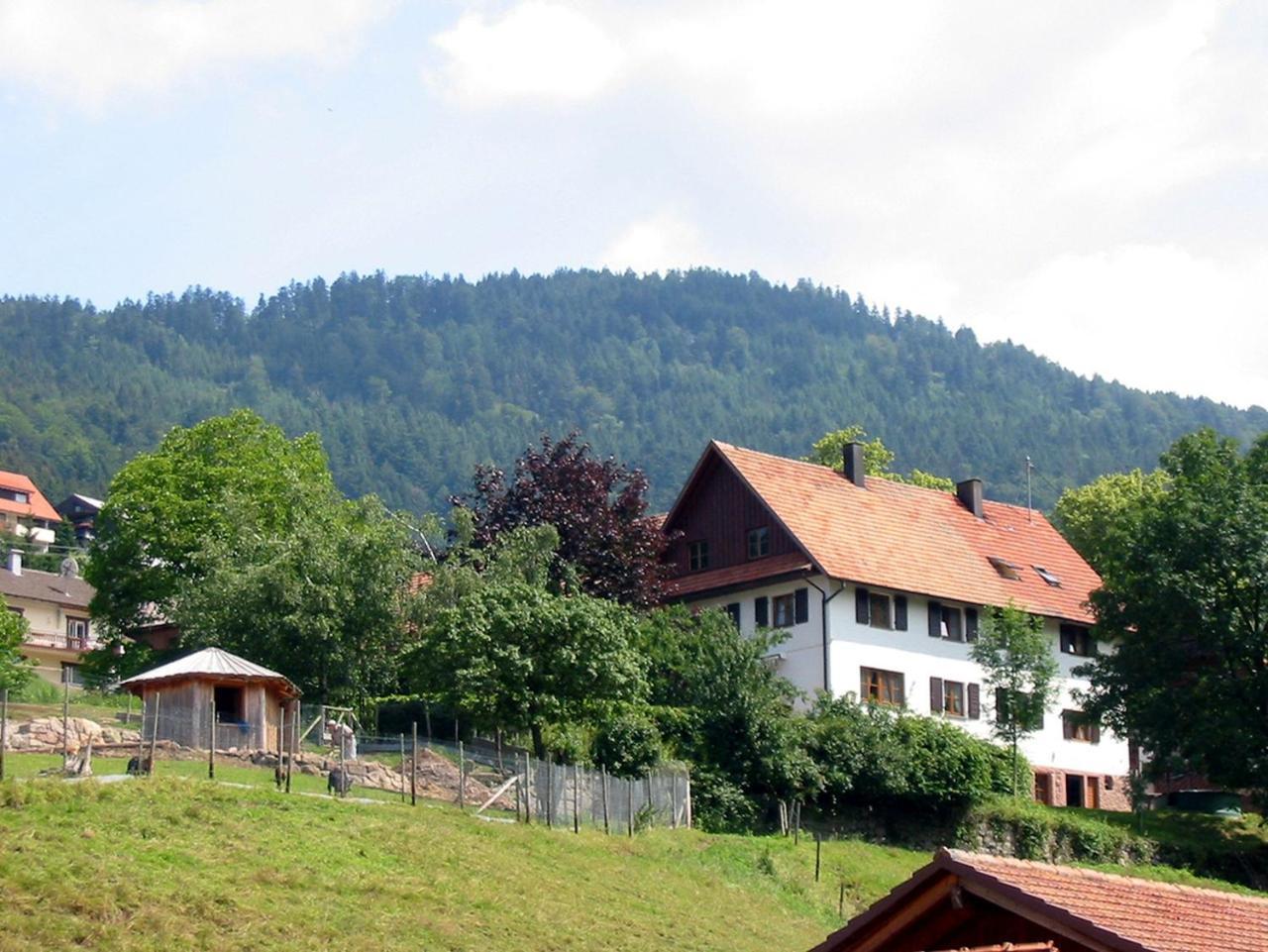 Schnurrenhof Apartment ซีบาค ภายนอก รูปภาพ